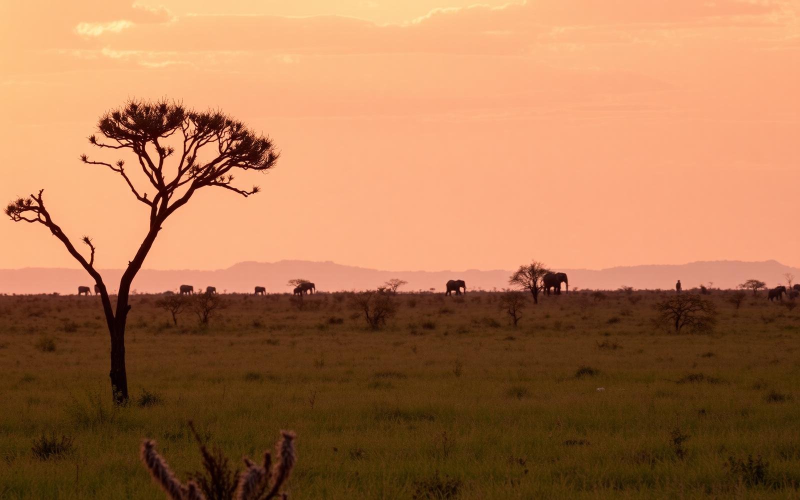 Viaje a Tanzania y Zanzíbar con Bqool Travel